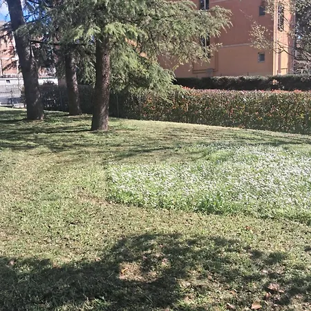 Apartamento Violetta *