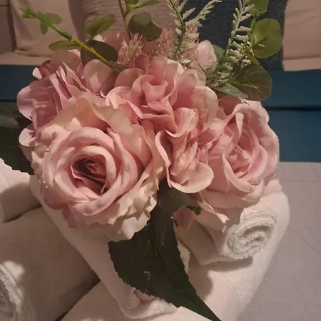 Apartamento Violetta *