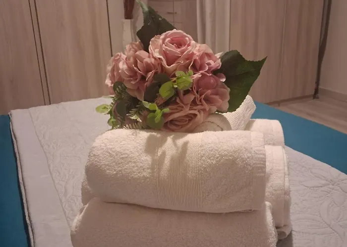Violetta * Bolonya